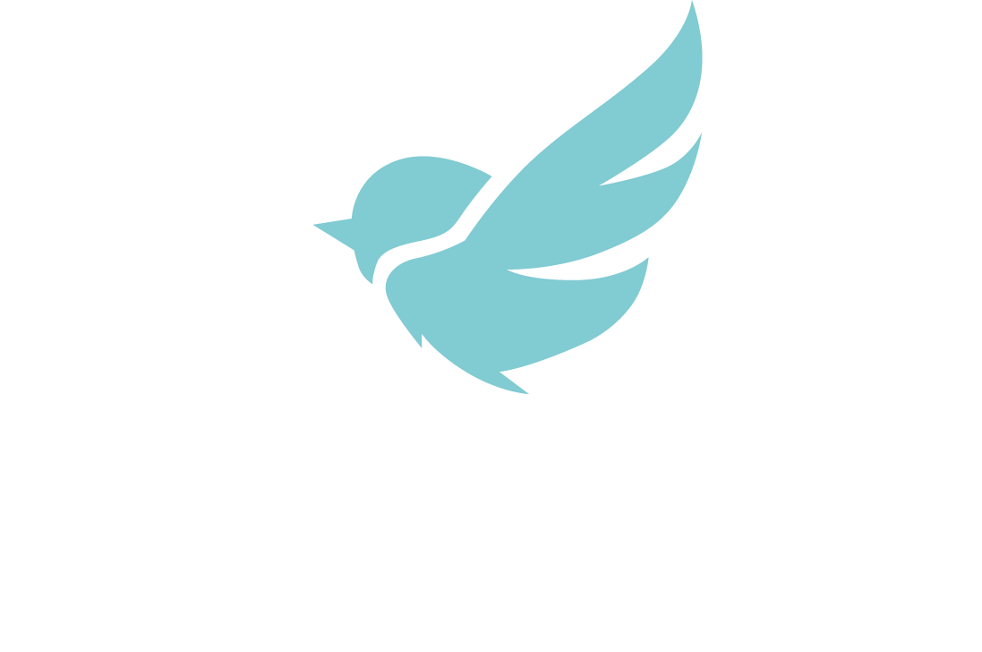 logo art vision web marketing design